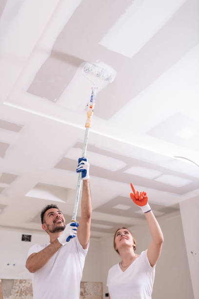 Best Ceiling Drywall Installation  in Ridgecrest, CA