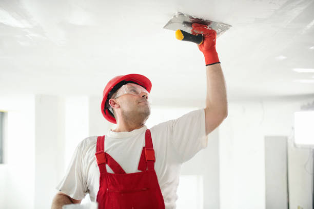 Best Wallpaper Removal and Painting  in Ridgecrest, CA